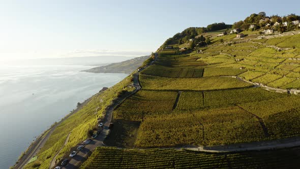 Aerial reveal of steepest part of Lavaux vineyard, autumn colors and sunset lightRivaz, Vaud - Swit
