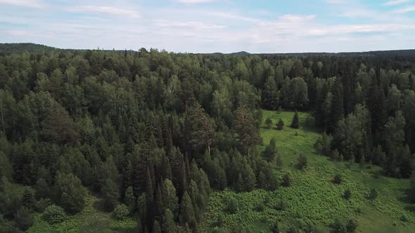 Areial Footage of Hills Covered with Green Pine Forest on a Sunny Summer Day