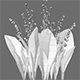 [Low Poly] Convallaria majalis - Lily of the Valley - 3DOcean Item for Sale