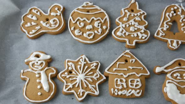 Christmas Holiday Gingerbread Cookie