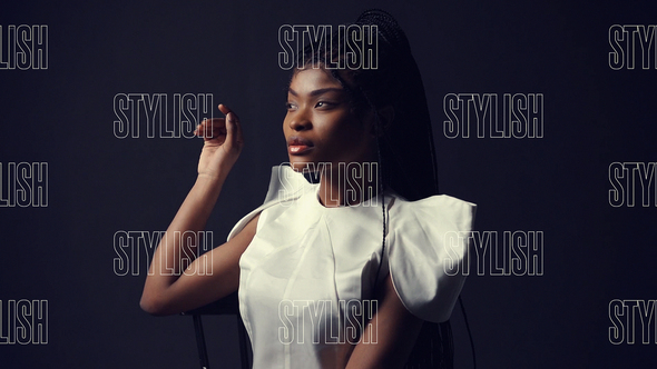 Slideshow Stylish Intro alt