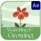 Watering And Growing Plants Explainer for After Effects - VideoHive Item for Sale