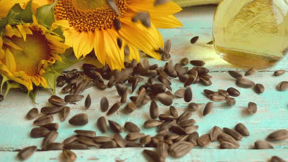 Sunflower, sunflower oil on blue vintage wooden table top and falling sunflower seeds on it