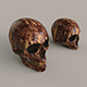 Skulls - 3DOcean Item for Sale