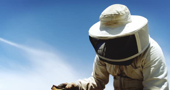 Beekeeper harvesting honey