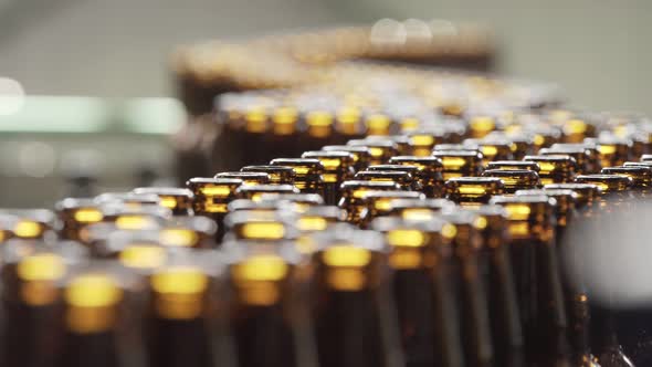 Beer bottles on a conveyor belt. The neck of a beer bottle. macro plan. brewery.