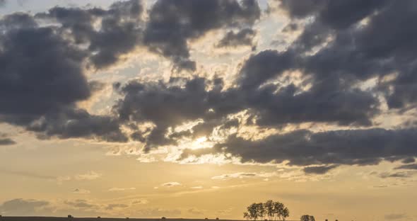 Flat Hill Meadow Timelapse at the Summer Sunset Time. Wild Nature and Rural Field. Sun Rays, Trees