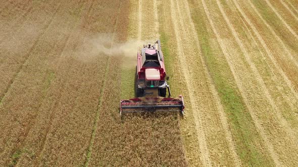 Combine Harvester Harvesting Wheat Rye Barley In Agricultural Field Aerial View