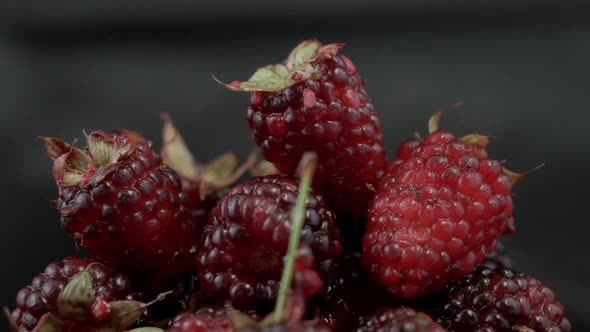 blackberrys rotating in dark background closeup