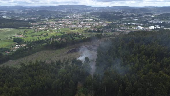 Natural Disaster Forest Fire