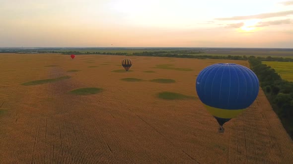 Several Air Balloons Flying Over Fields, Entertaining Program, Nature Amenities