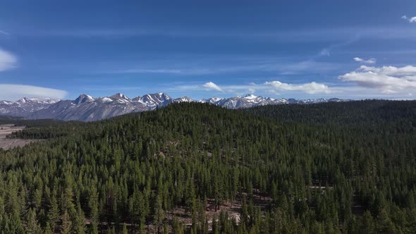 Snowy Mountains With Evergreens In Foreground