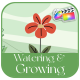 Watering And Growing Plants Explainer for FCPX - VideoHive Item for Sale
