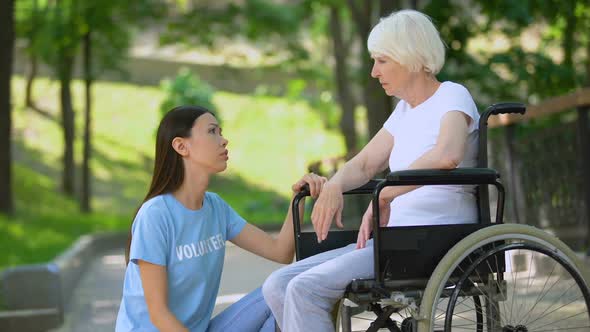 Female Volunteer Comforting Crying Old Lady Wheelchair, Old Age Disability, Help