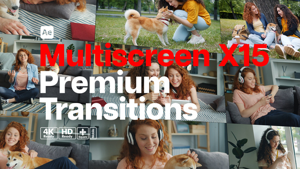 Premium Transitions Multiscreen X15 alt