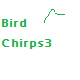 Bird Chirps 3