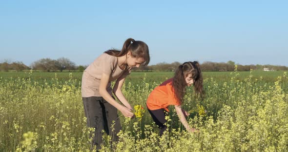 Children Pick Flowers