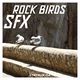 Rock Birds