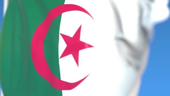 Flying National Flag of Algeria