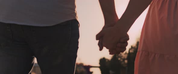 Young couple holding hands while walking at sunset, back view. 