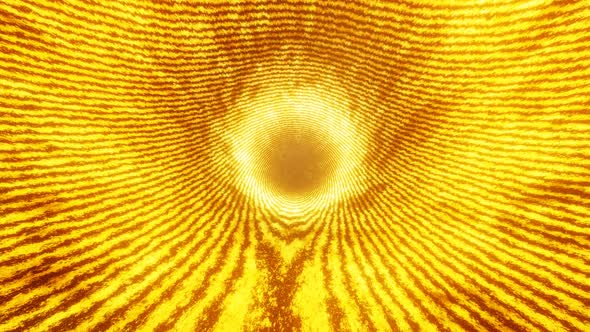 Gold Background | Golden loop background