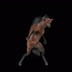 65 Horse Dancing HD - VideoHive Item for Sale