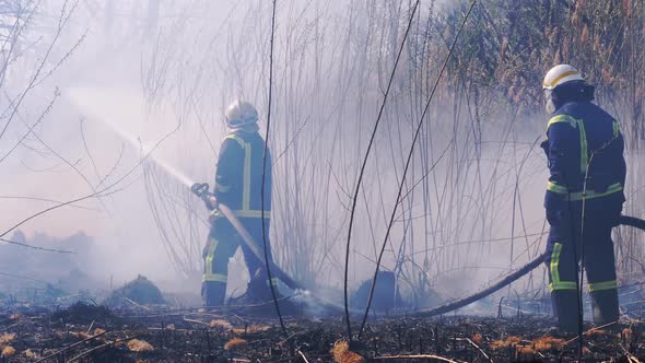 Two Firefighters in Equipment Extinguish Forest Fire with Fire Hose. Slow Motion