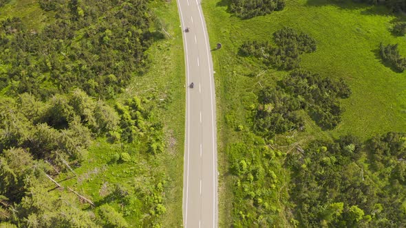 Aerial View Flying Over Two Lane Forest Road with Car Moving Green Trees of Woods Growing Both Sides