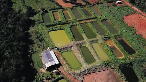 Incredible drone view flying over fishing ponds on a commercial fish farm in the Tocantins region of