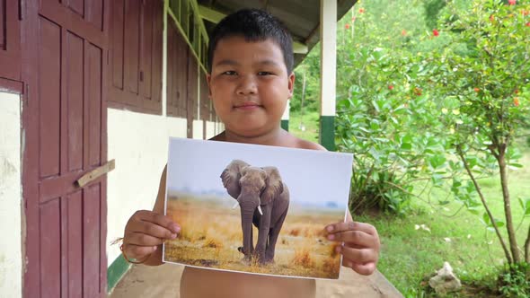 Asian Boy Holding Picture Of Elephant