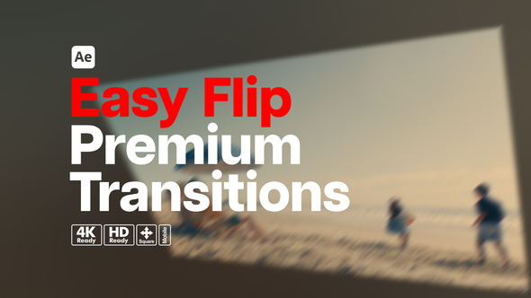 Premium Transitions Easy Flip alt