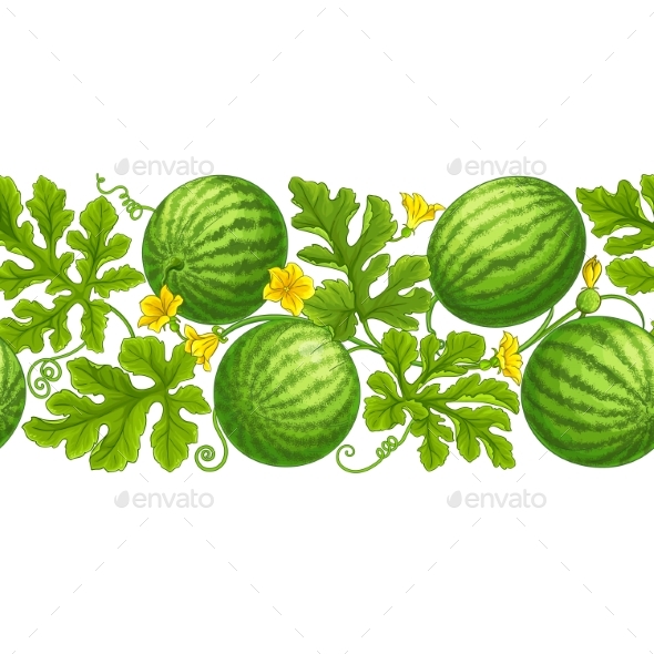 Watermelon Vector Pattern