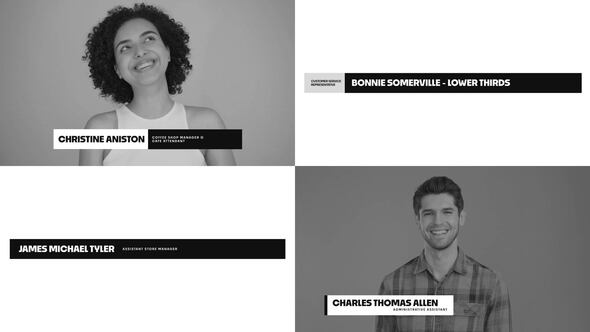 Minimal Lower Thirds alt