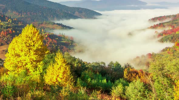 Morning Mist Over the Valley Among the Mountains in the Sunlight. Fog and Beautiful Nature of
