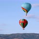 Colorful hot air balloons in the sky - VideoHive Item for Sale