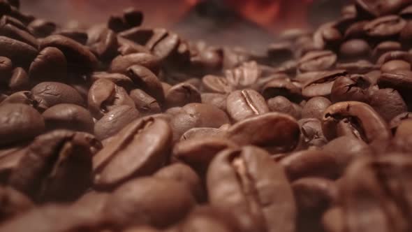 Close Up of Seeds of Coffee