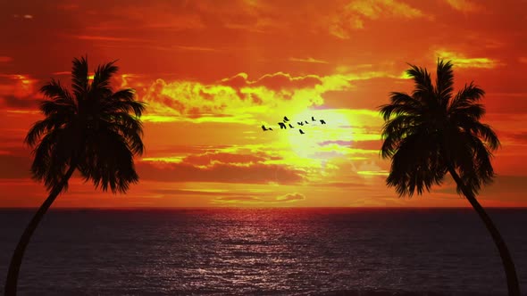 beach sunset background