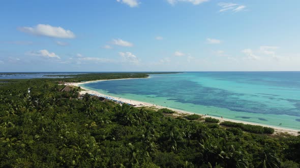 Caribbean Sea Shore with Sandy Beach