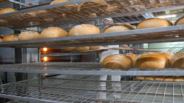 Chef Removes Freshly Baked Bakery Products From the Oven. Baked Bread Is Removed From the Oven in a