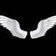 Angel Wings - VideoHive Item for Sale