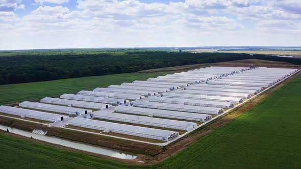 Aerial view of poultry farm. Modern farm poultry buildings. Agriculture