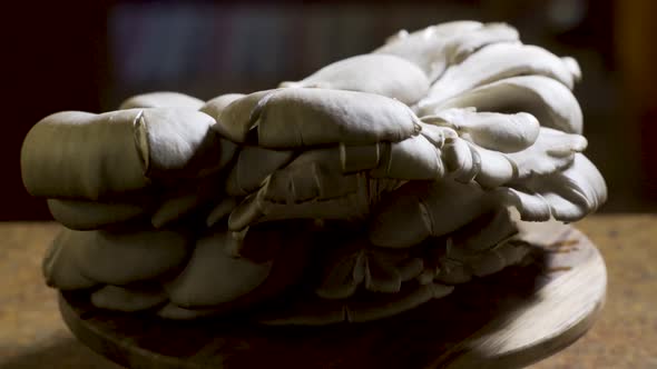 Rotating oyster mushrooms in a dark kitchen on a wood cutting board.