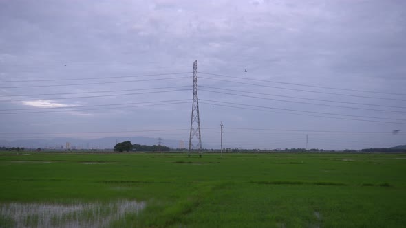 Landscape electric pole in morning