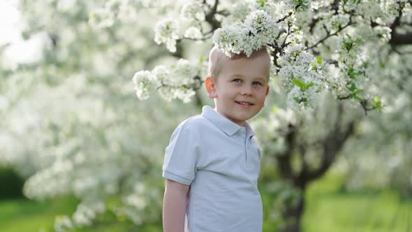 Funny Little Boy on the Lawn in the Flowering Spring Garden