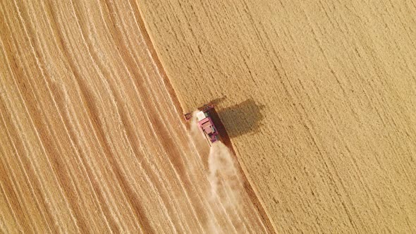 Aerial View Red Harvester Working in the Field. Combine Harvester Agricultural Machine Collecting