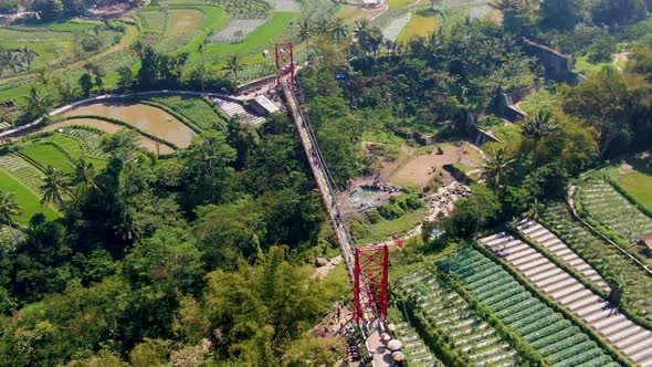 Rural landscape of Central Java and Jokowi Bridge, Indonesia, aerial view