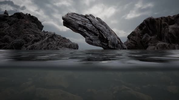 Half Underwater in Northern Sea with Rocks alt