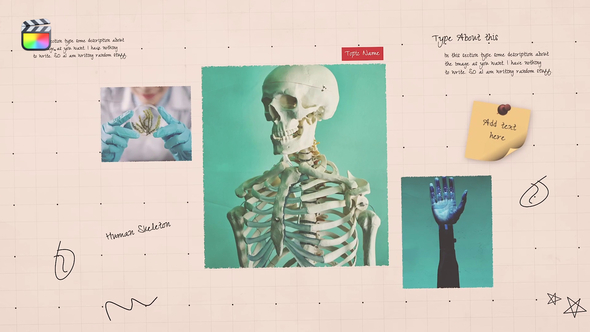 Science Project Presentation alt