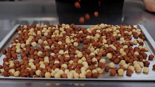 Close-up of Pastry Chef Pouring a Lot of Hazelnuts on a Metal Table, Slow Motion