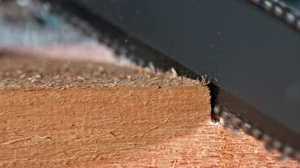 Super Slow Motion Detail Shot of Cutting Wood with Chainsaw at 1000 Fps